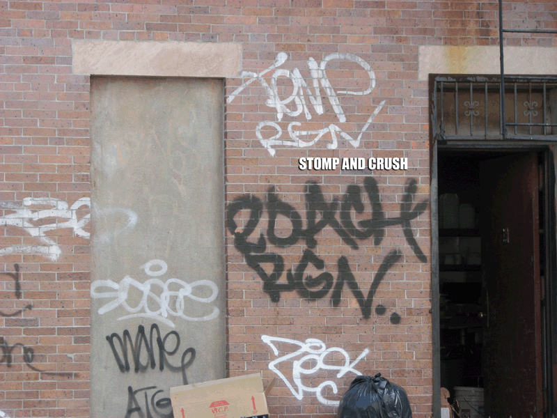TEMP RGN_ROACH RGN